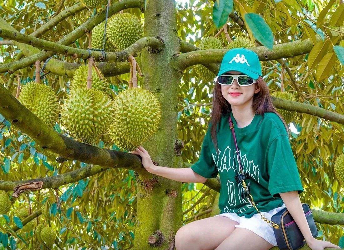 Du khách tham quan vườn sầu riêng với những trái trên cây
